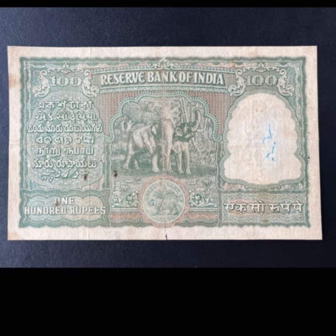 WhatsApp Image 2024-04-02 at 7.48 3